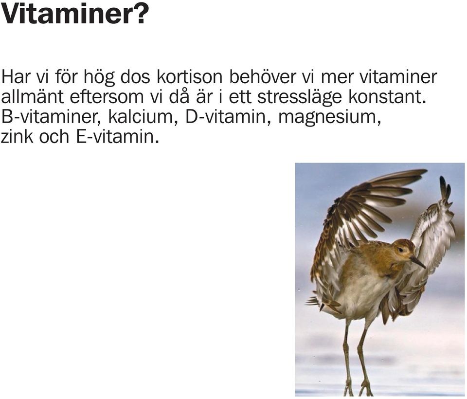 vitaminer allmänt eftersom vi då är i ett