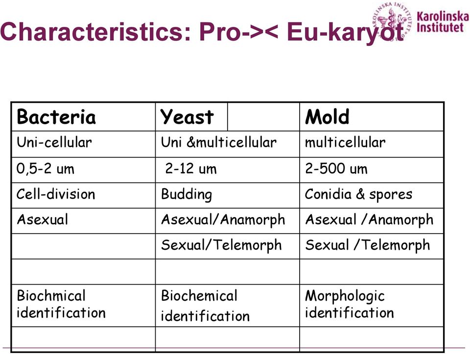 Conidia & spores Asexual Asexual/Anamorph Asexual /Anamorph Sexual/Telemorph