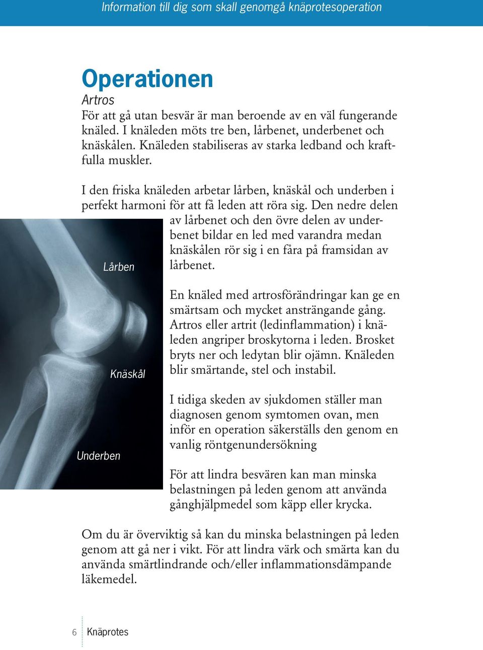 Den nedre delen av lårbenet och den övre delen av underbenet bildar en led med varandra medan knäskålen rör sig i en fåra på framsidan av Lårben lårbenet.
