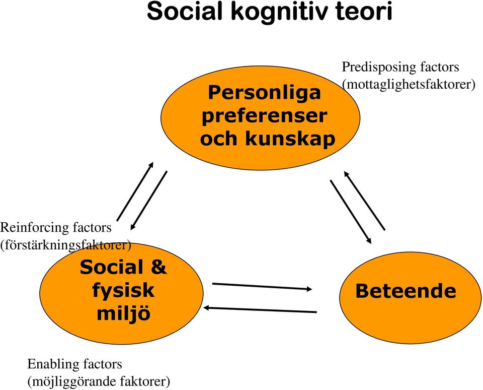 Reinforcing factors (förstärkningsfaktorer) Social &