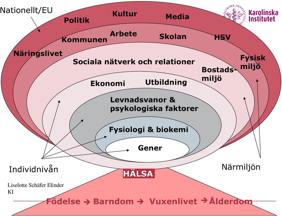 Levnadsvanor & psykologiska faktorer Fysiologi & biokemi Gener Individnivån