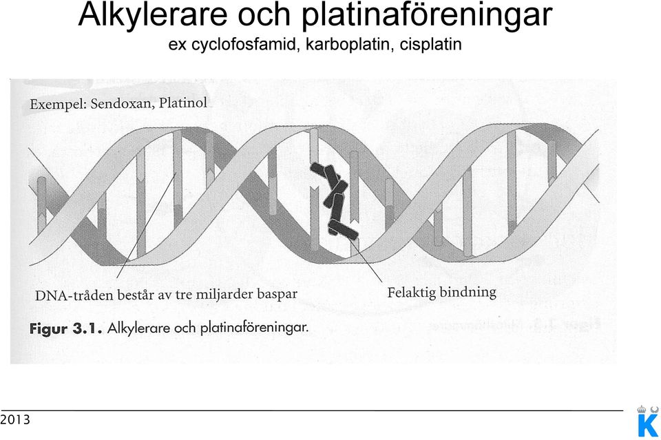 ex cyclofosfamid,