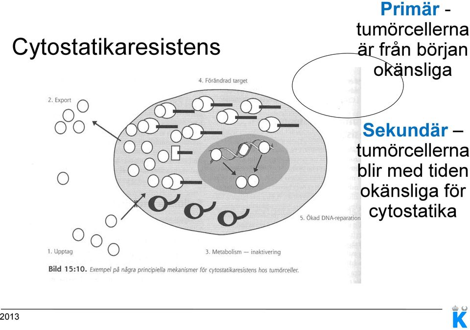 okänsliga Sekundär tumörcellerna