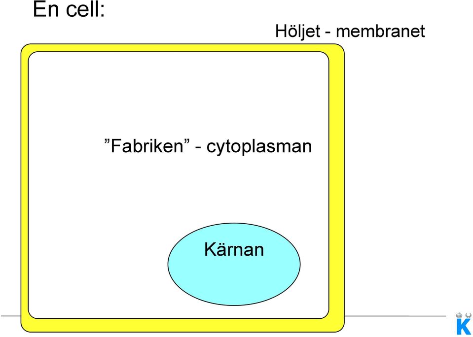 membranet