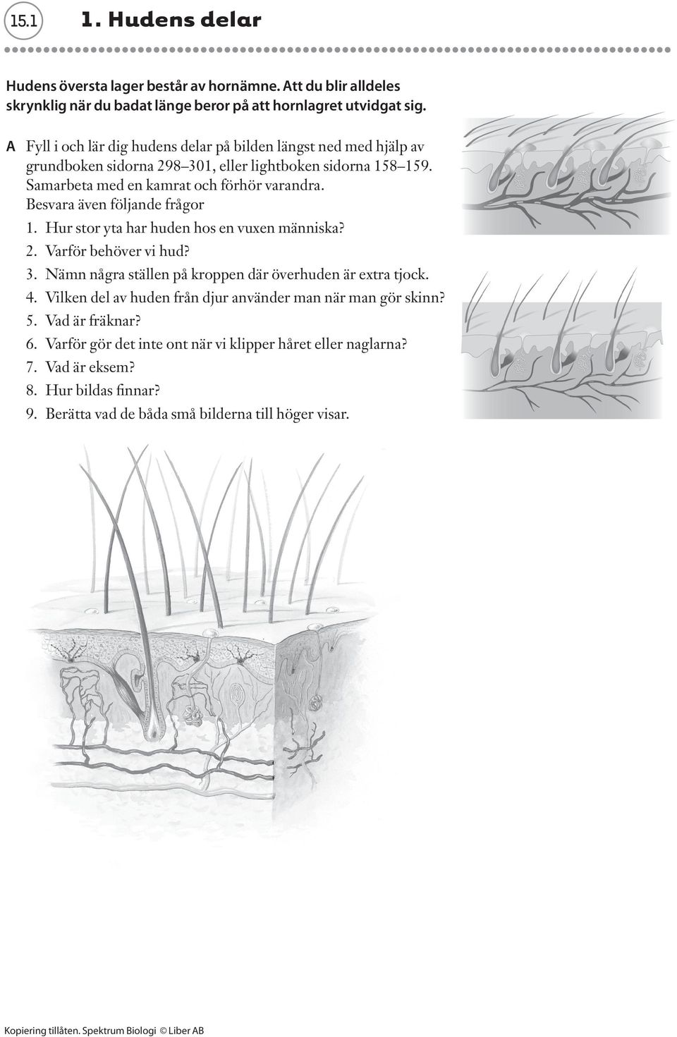 Besvara även följande frågor 1. Hur stor yta har huden hos en vuxen människa? 2. Varför behöver vi hud? 3. Nämn några ställen på kroppen där överhuden är extra tjock. 4.