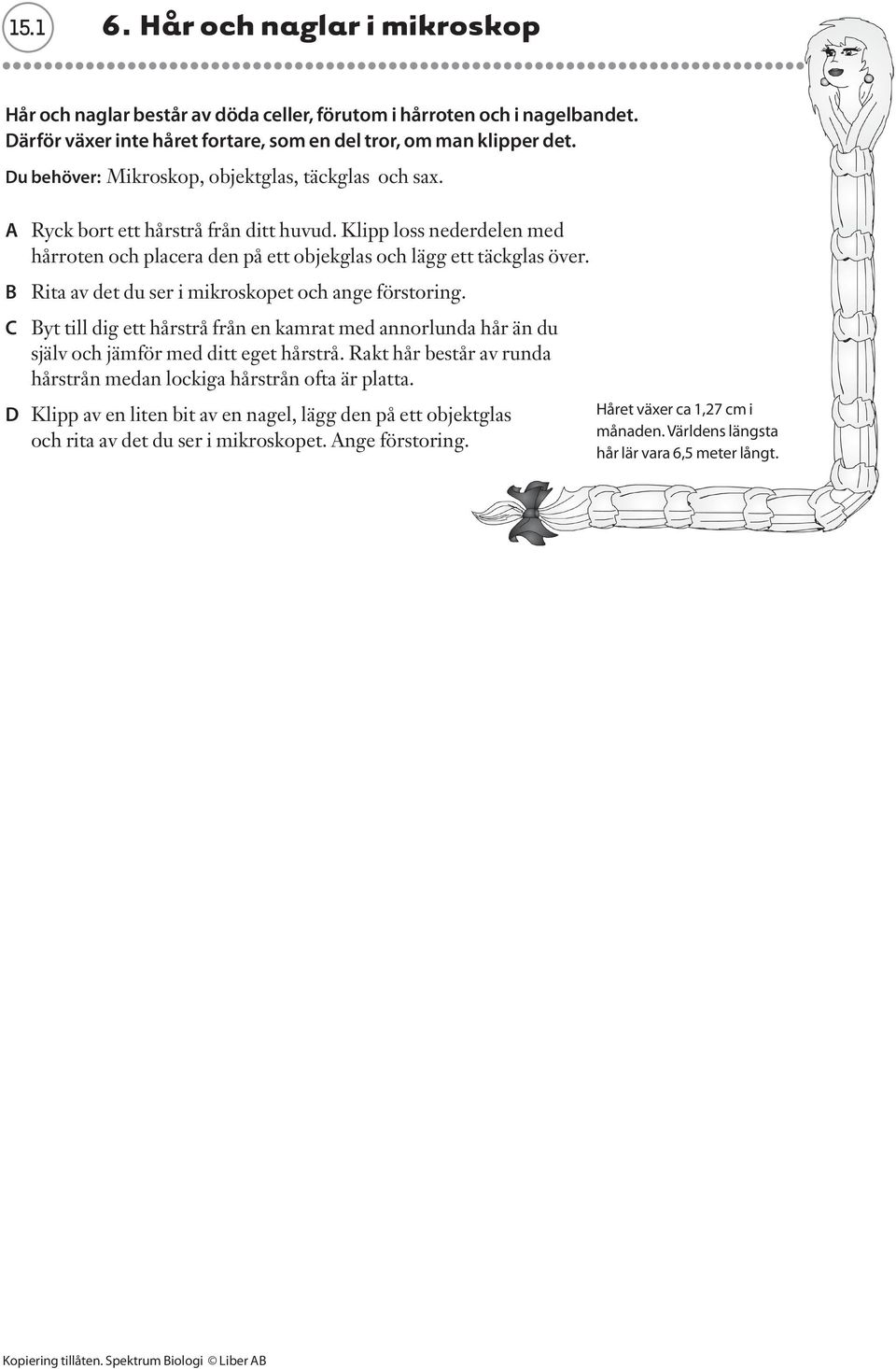 B Rita av det du ser i mikroskopet och ange förstoring. C Byt till dig ett hårstrå från en kamrat med annorlunda hår än du själv och jämför med ditt eget hårstrå.