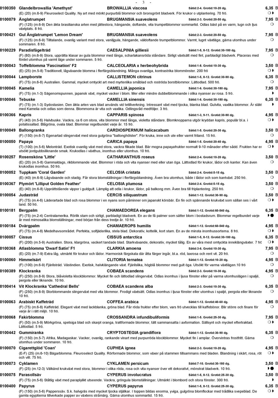 6-9) Den äkta brasilianska arten med jättestora, hängande, doftande, vita trumpetblommor sommartid. Odlas bäst på en varm, lugn och ljus växtplats. 8 frö.