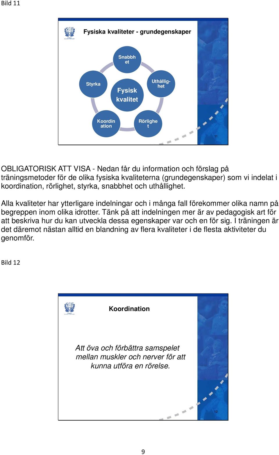 Alla kvaliteter har ytterligare indelningar och i många fall förekommer olika namn på begreppen inom olika idrotter.