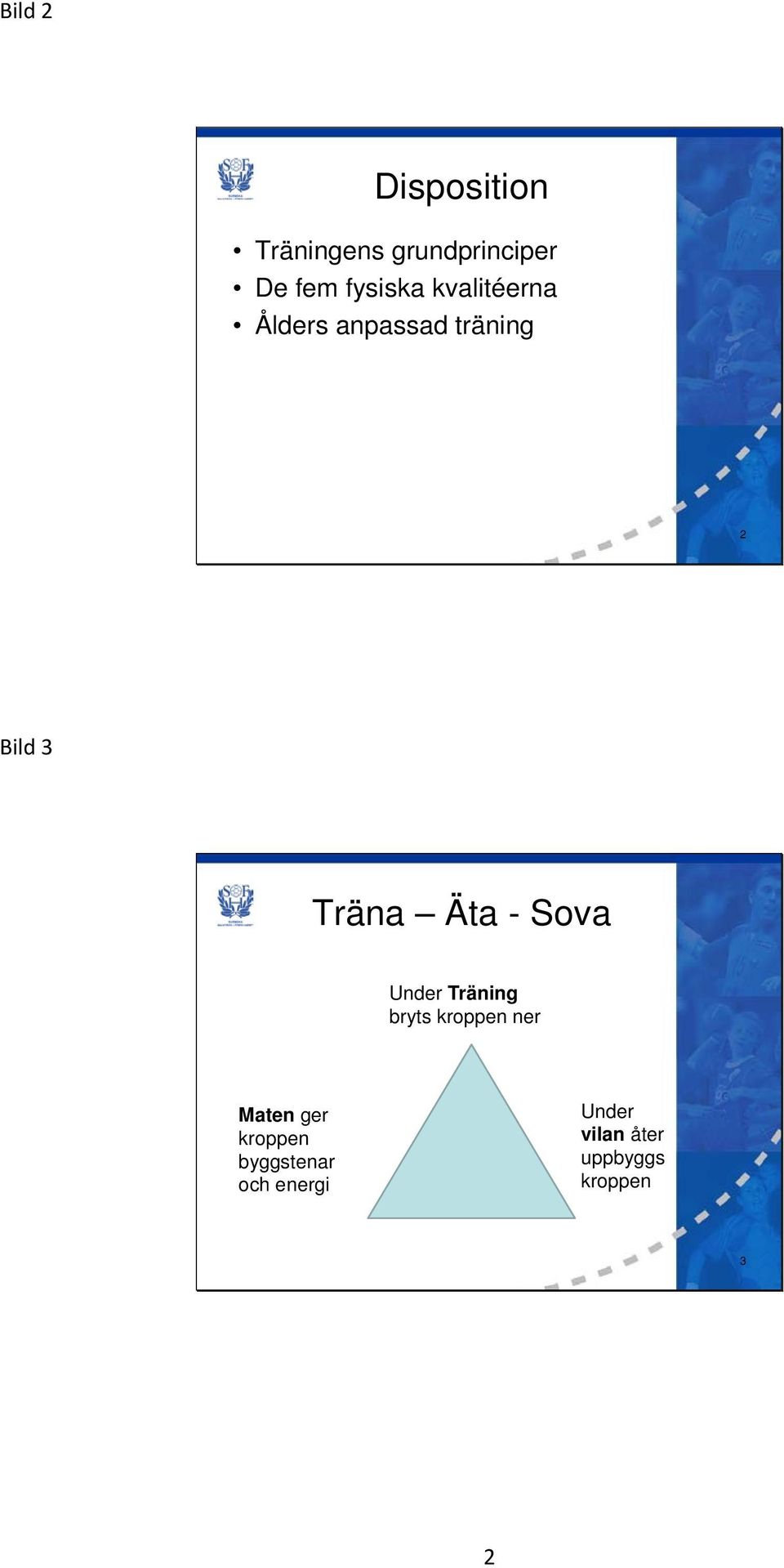 Träna Äta - Sova Under Träning bryts kroppen ner Maten