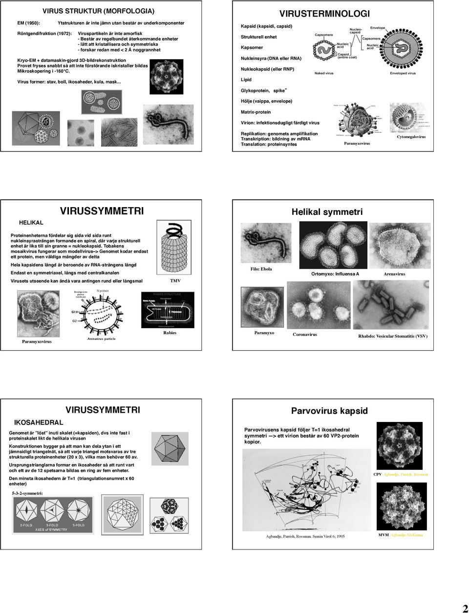 Mikroskopering i -160 C. Virus former: stav, boll, ikosaheder, kula, mask.
