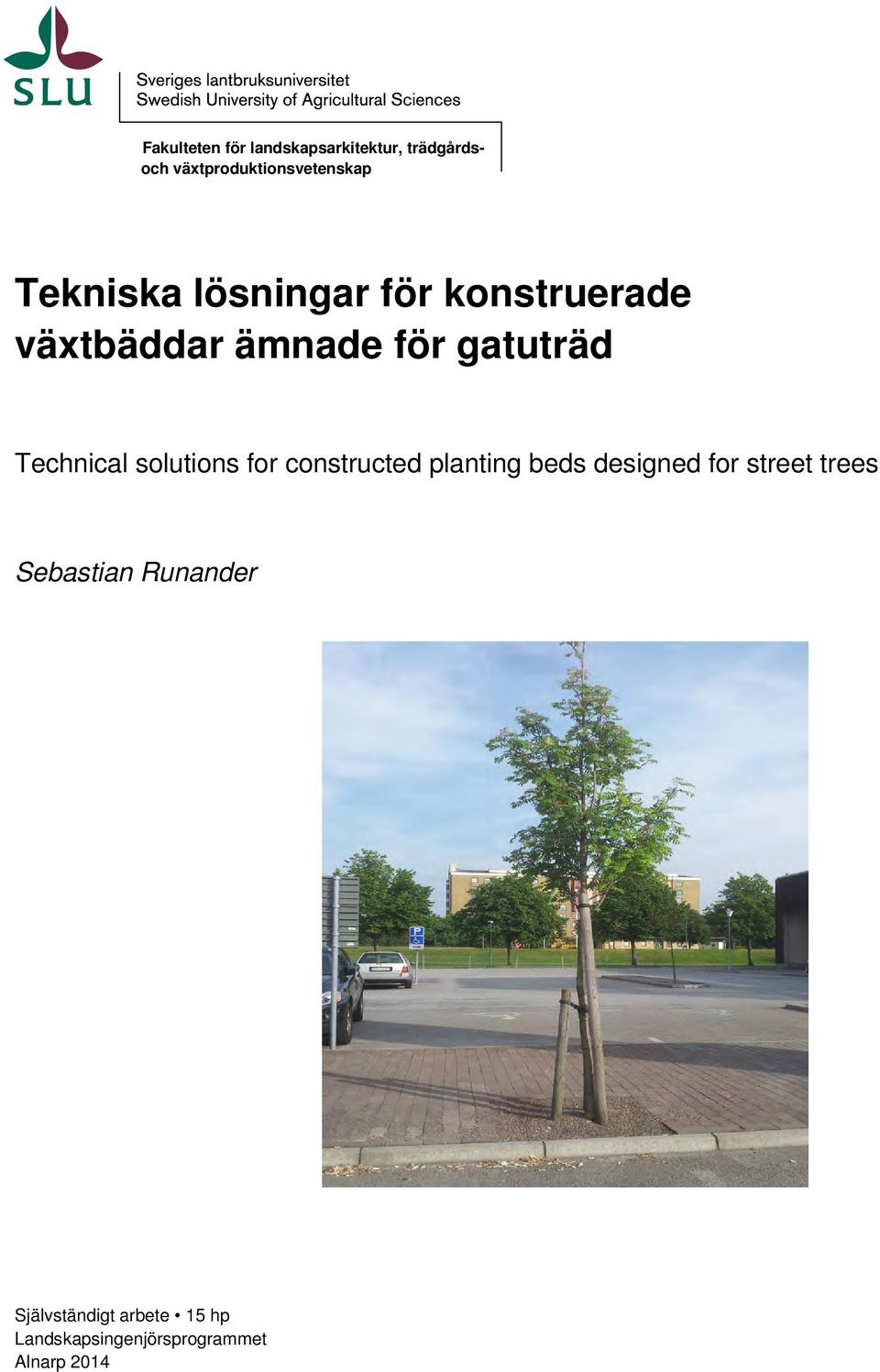 Technical solutions for constructed planting beds designed for street trees