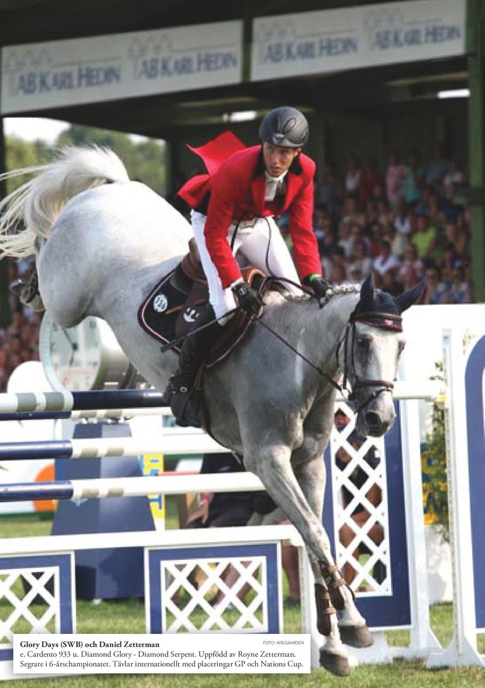 Uppfödd av Royne Zetterman. Segrare i 6-årschampionatet.