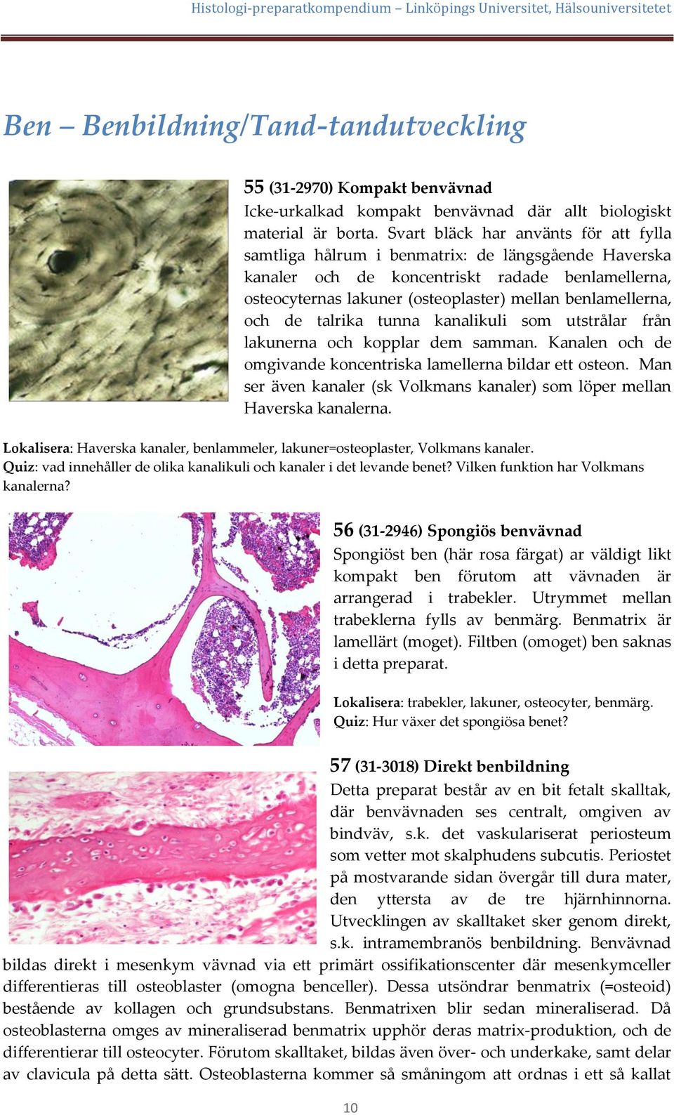 och de talrika tunna kanalikuli som utstrålar från lakunerna och kopplar dem samman. Kanalen och de omgivande koncentriska lamellerna bildar ett osteon.