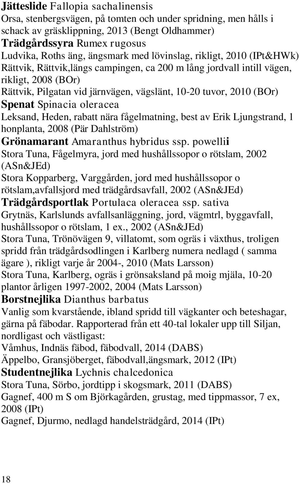 (BOr) Spenat Spinacia oleracea Leksand, Heden, rabatt nära fågelmatning, best av Erik Ljungstrand, 1 honplanta, 2008 (Pär Dahlström) Grönamarant Amaranthus hybridus ssp.