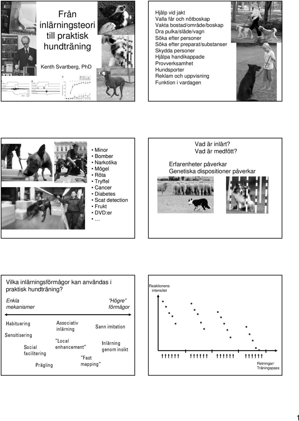 detection Frukt DVD:er Vad är inlärt? Vad är medfött? Erfarenheter påverkar Genetiska dispositioner påverkar Vilka inlärningsförmågor kan användas i praktisk hundträning?