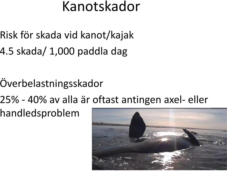 5 skada/ 1,000 paddla dag