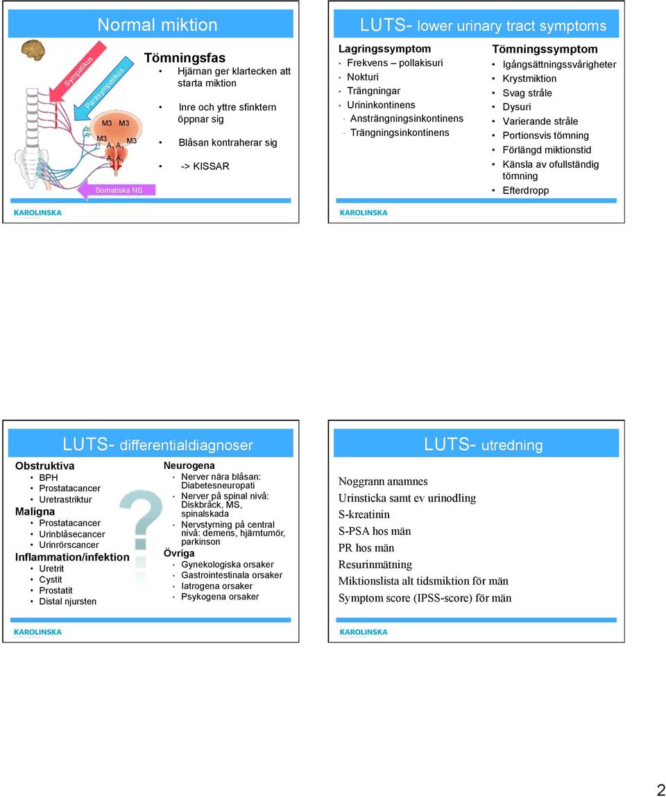 stråle Dysuri Varierande stråle Portionsvis tömning Förlängd miktionstid Känsla av ofullständig tömning Efterdropp LUTS- differentialdiagnoser Obstruktiva BPH Prostatacancer Uretrastriktur Maligna