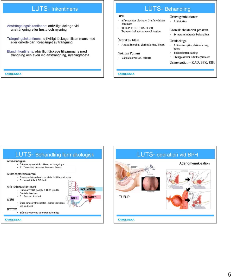 Transvesikal adenomennukleation Överaktiv blåsa Antikolinergika, elstimulering, Botox Nokturn Polyuri Vätskerestriktion, Minirin LUTS- Behandling Urinvägsinfektioner Antibiotika Kronisk abakteriell