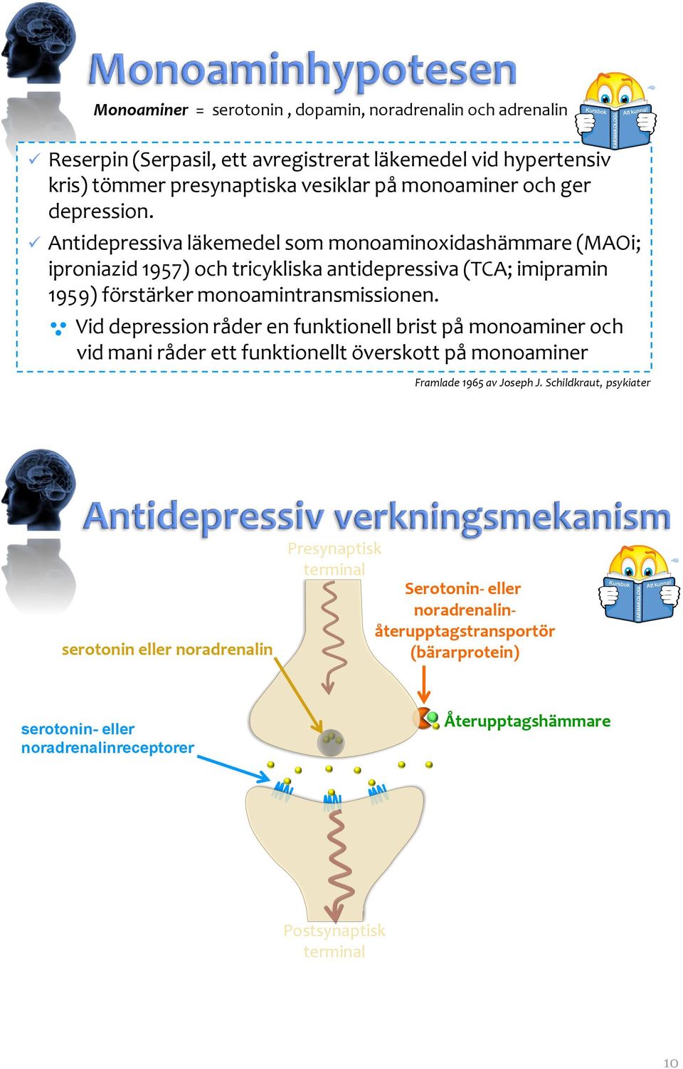 Antidepressiva läkemedel som monoaminoxidashämmare (MAOi; iproniazid 1957) och tricykliska antidepressiva (TCA; imipramin 1959) förstärker monoamintransmissionen.