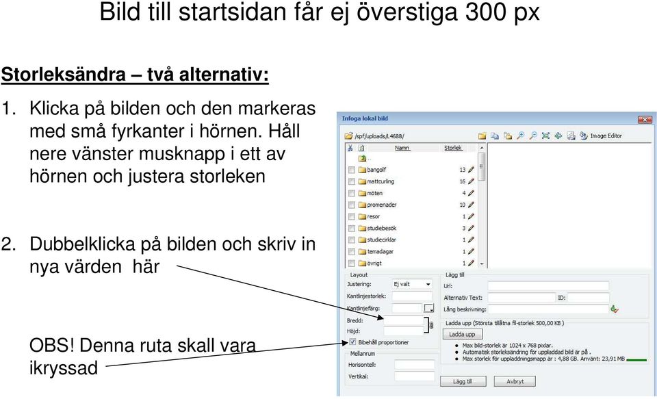 Klicka på bilden och den markeras med små fyrkanter i hörnen.