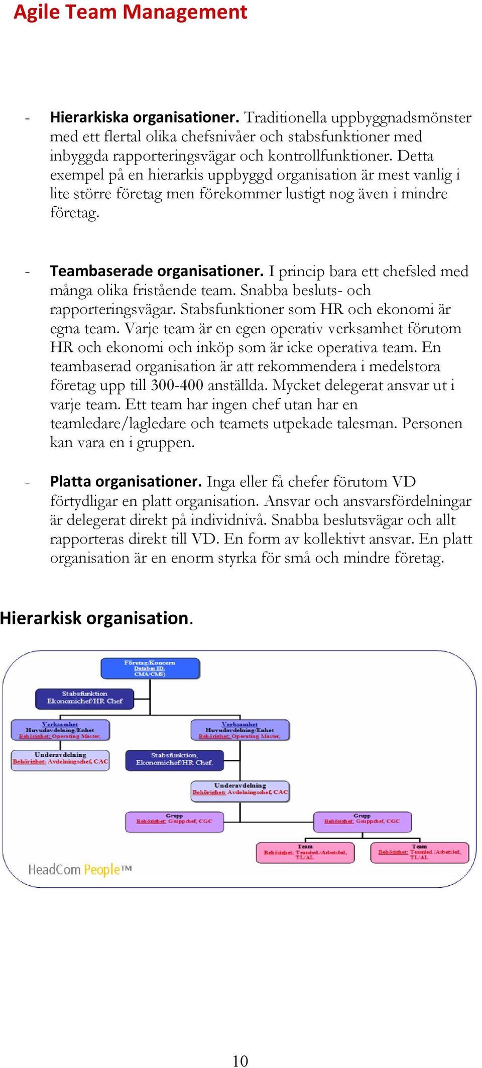 I princip bara ett chefsled med många olika fristående team. Snabba besluts- och rapporteringsvägar. Stabsfunktioner som HR och ekonomi är egna team.