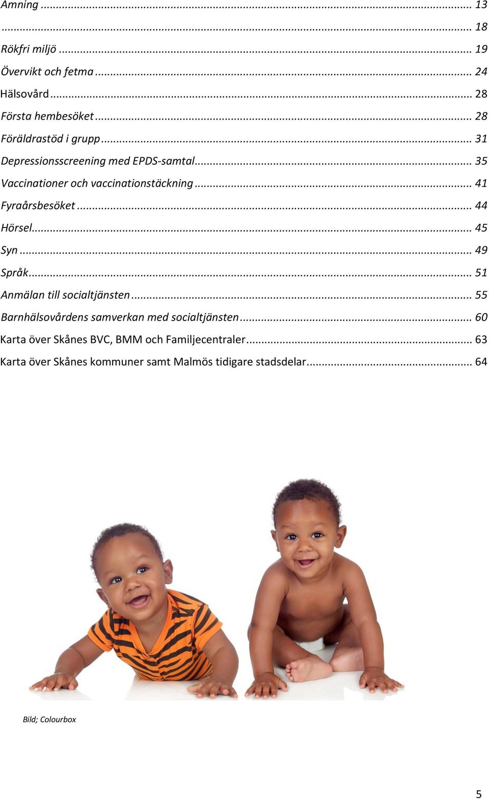 .. 45 Syn... 49 Språk... 51 Anmälan till socialtjänsten... 55 Barnhälsovårdens samverkan med socialtjänsten.