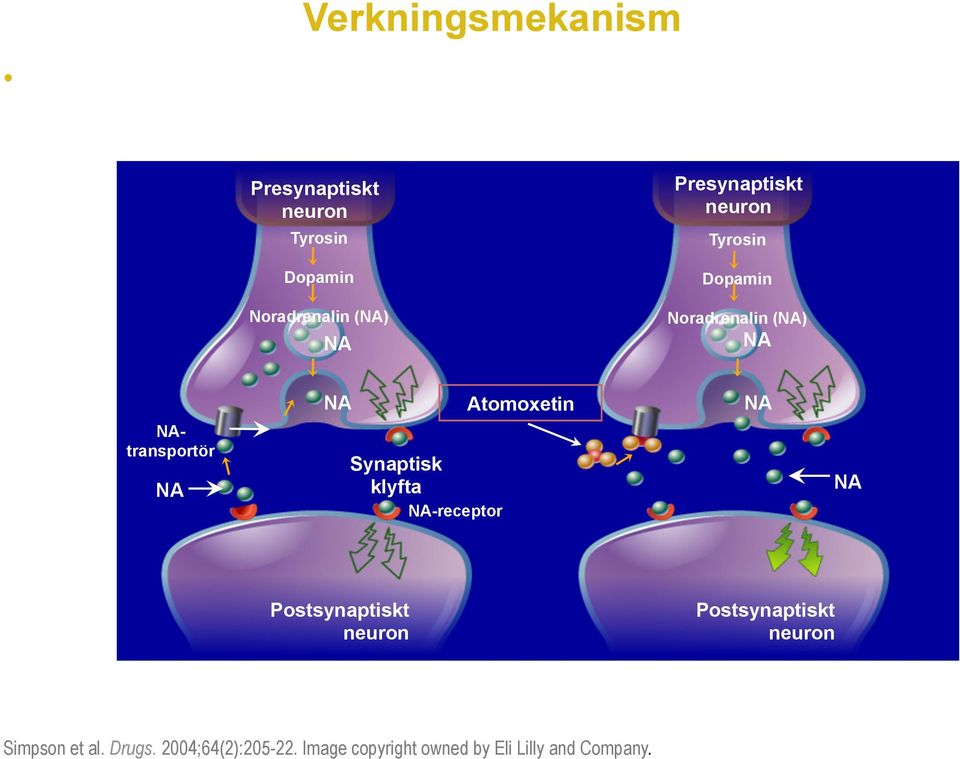 Tyrosin Dopamin Noradrenalin (NA) NA NAtransportör NA NA Synaptisk klyfta NA-receptor Atomoxetin NA NA