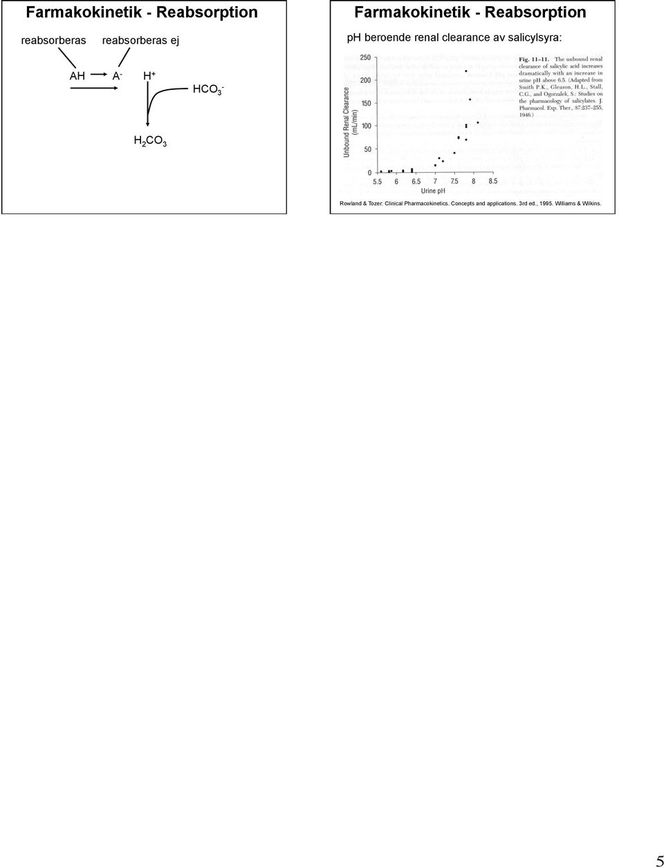 3 Rowland & Tozer: Clinical Pharmacokinetics.