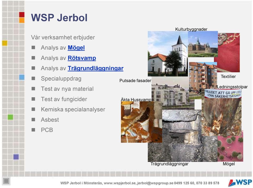 fungicider Kemiska specialanalyser Asbest PCB Putsade fasader Äkta