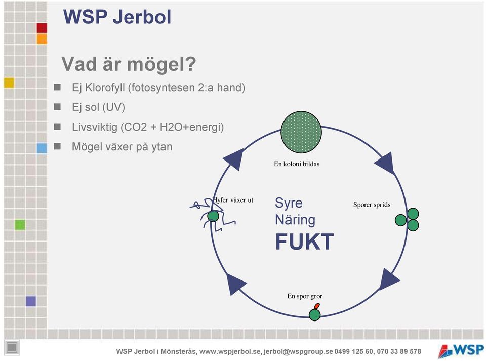 (UV) Livsviktig (CO2 + H2O+energi) Mögel växer