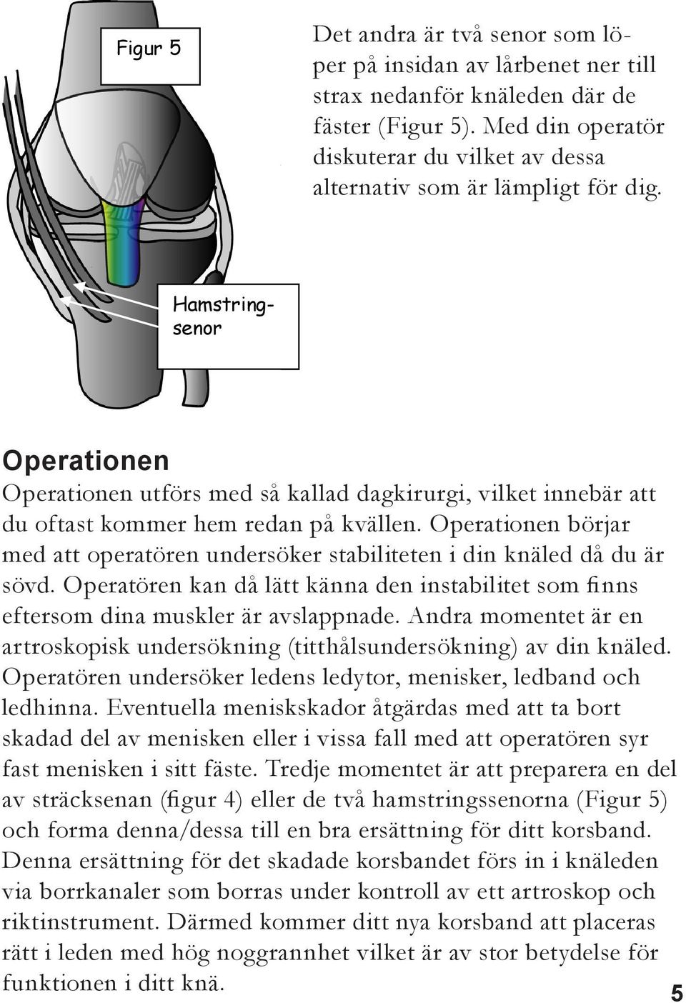 Hamstringsenor Operationen Operationen utförs med så kallad dagkirurgi, vilket innebär att du oftast kommer hem redan på kvällen.