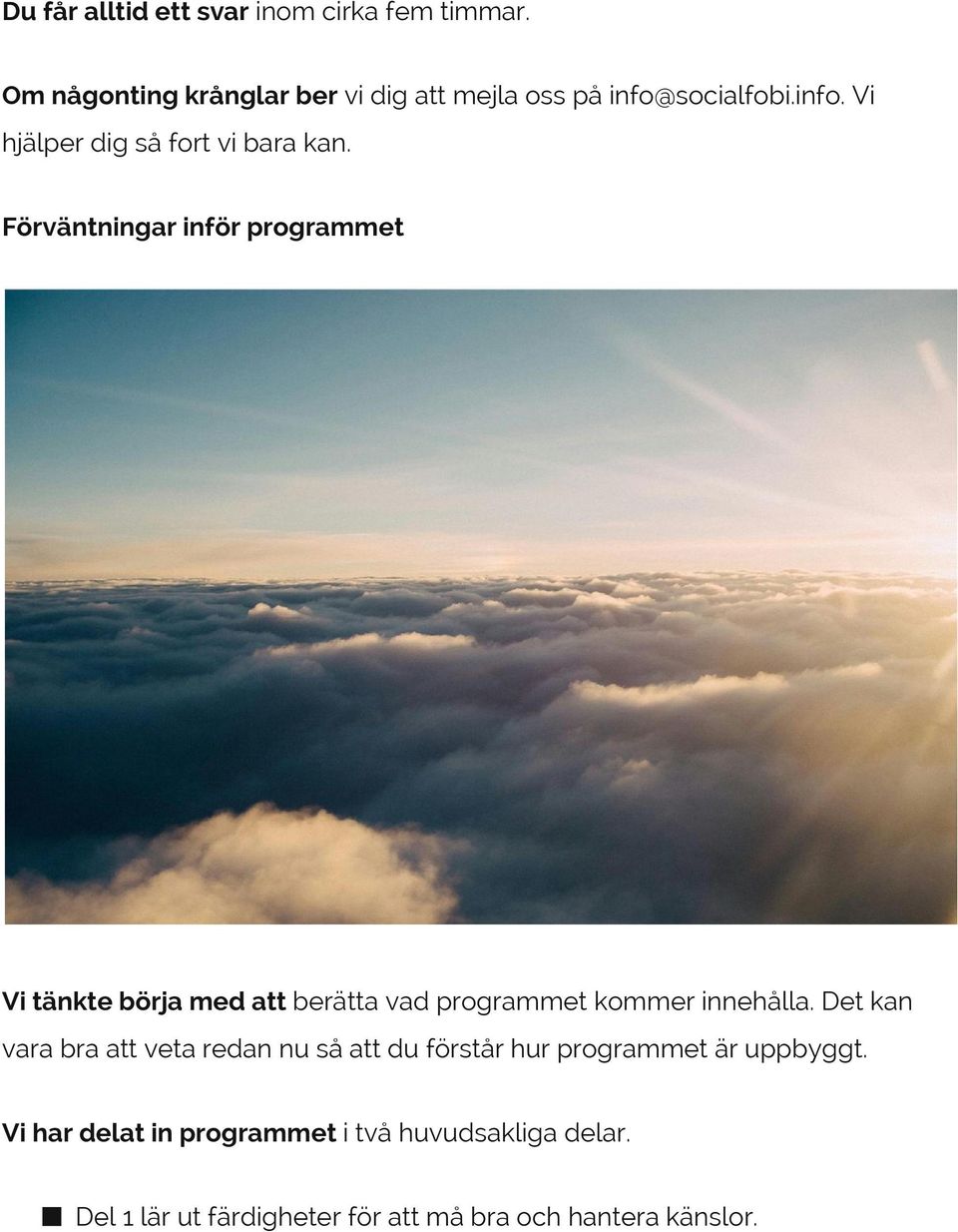 Förväntningar inför programmet Vi tänkte börja med att berätta vad programmet kommer innehålla.