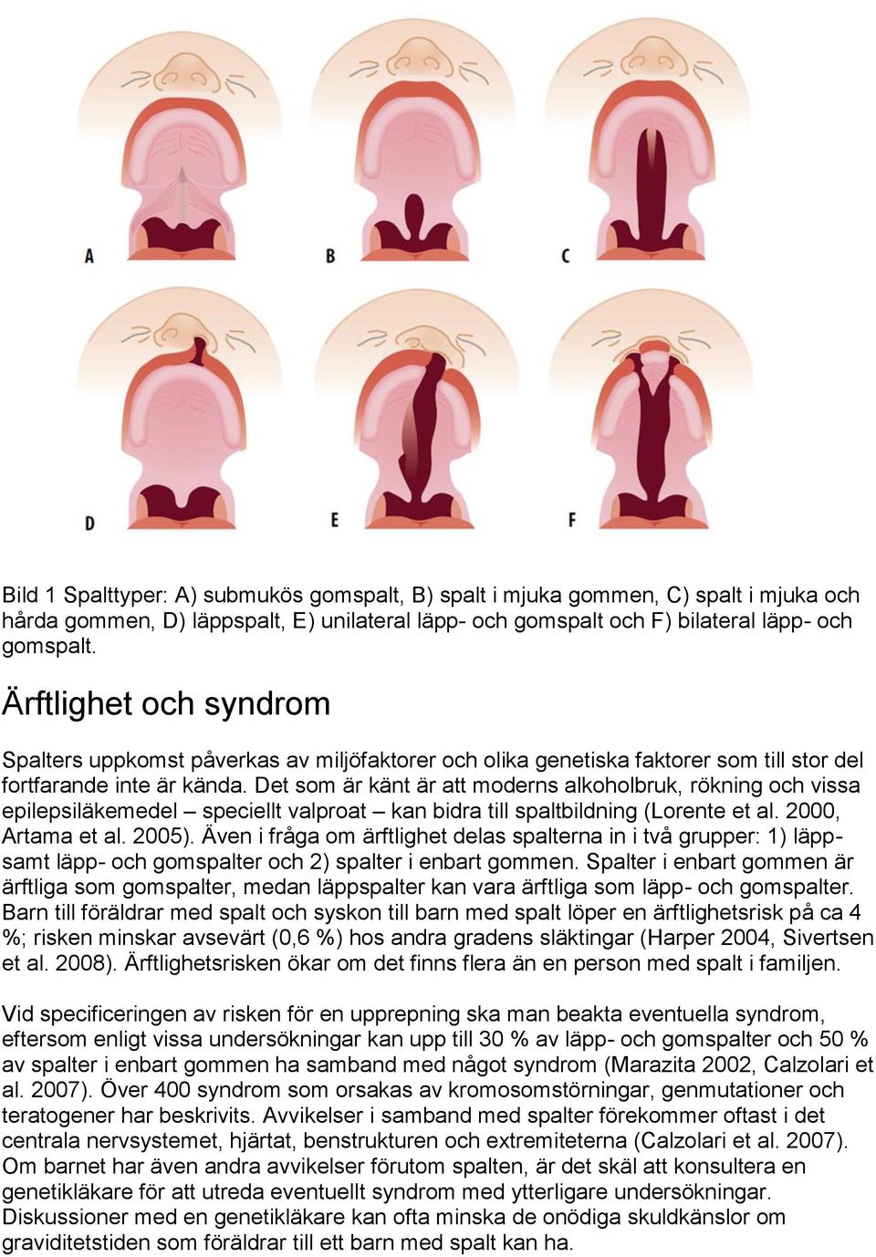 Det som är känt är att moderns alkoholbruk, rökning och vissa epilepsiläkemedel speciellt valproat kan bidra till spaltbildning (Lorente et al. 2000, Artama et al. 2005).