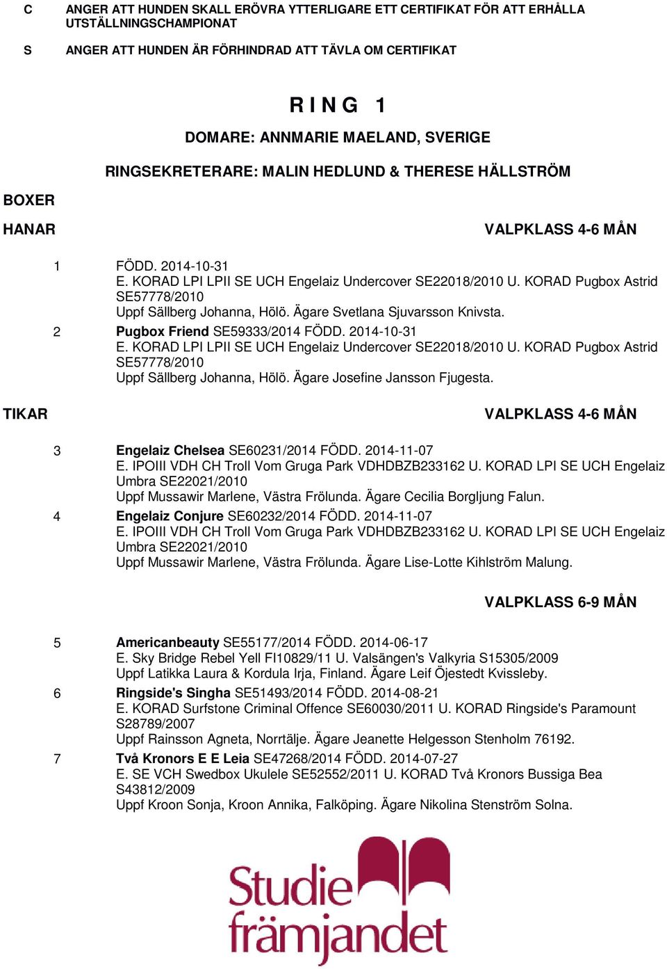 KORAD Pugbox Astrid SE57778/2010 Uppf Sällberg Johanna, Hölö. Ägare Svetlana Sjuvarsson Knivsta. 2 Pugbox Friend SE59333/2014 FÖDD. 2014-10-31 E.