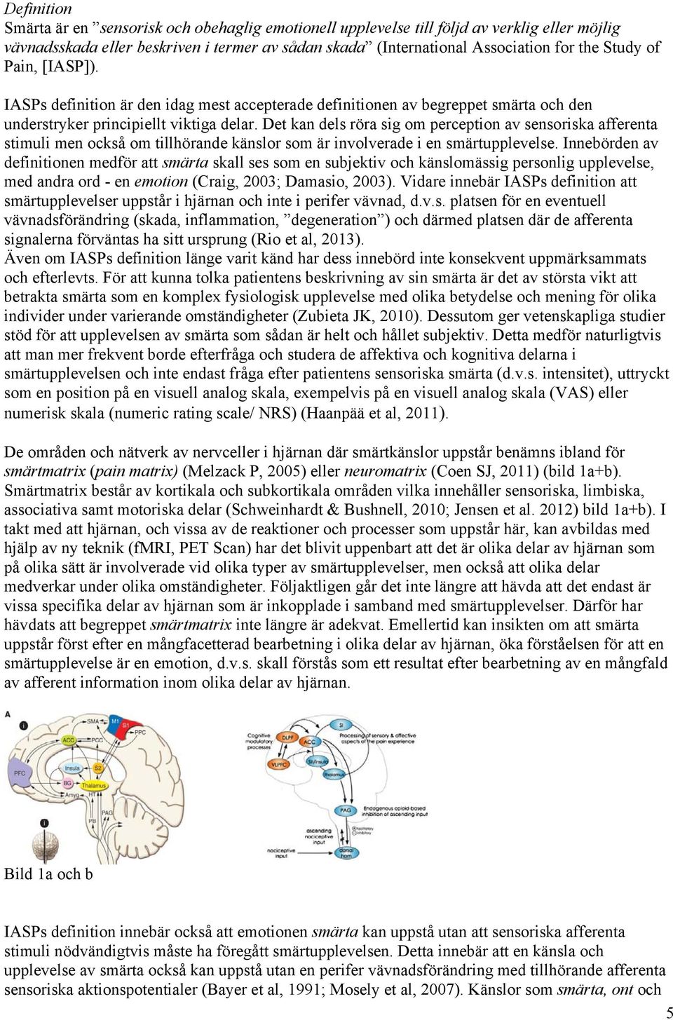 Det kan dels röra sig om perception av sensoriska afferenta stimuli men också om tillhörande känslor som är involverade i en smärtupplevelse.