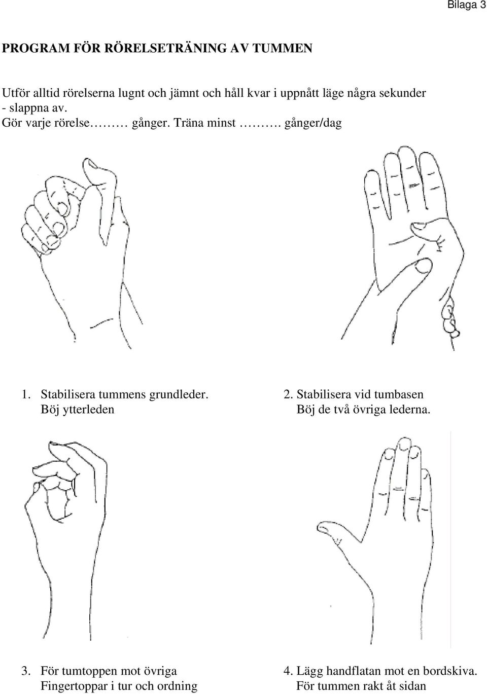 Stabilisera tummens grundleder. 2. Stabilisera vid tumbasen Böj ytterleden Böj de två övriga lederna. 3.