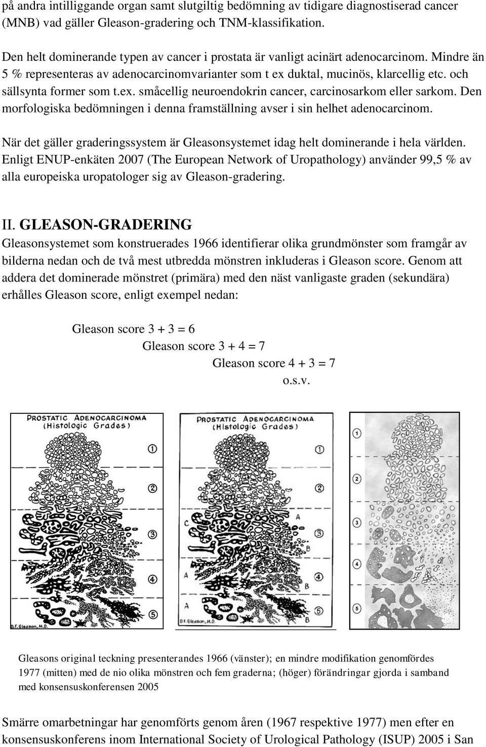 och sällsynta former som t.ex. småcellig neuroendokrin cancer, carcinosarkom eller sarkom. Den morfologiska bedömningen i denna framställning avser i sin helhet adenocarcinom.