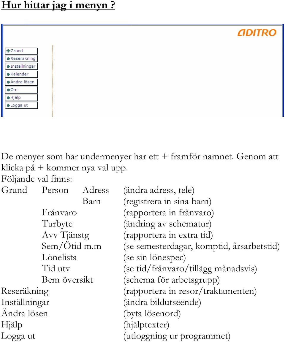 Tjänstg (rapportera in extra tid) Sem/Ötid m.