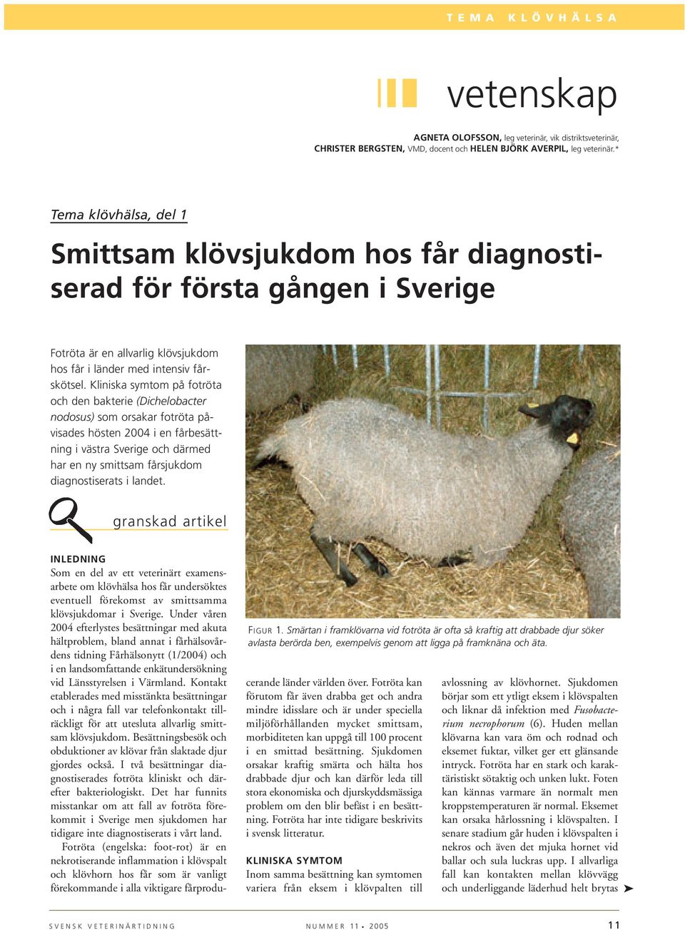 Kliniska symtom på fotröta och den bakterie (Dichelobacter nodosus) som orsakar fotröta påvisades hösten 2004 i en fårbesättning i västra Sverige och därmed har en ny smittsam fårsjukdom
