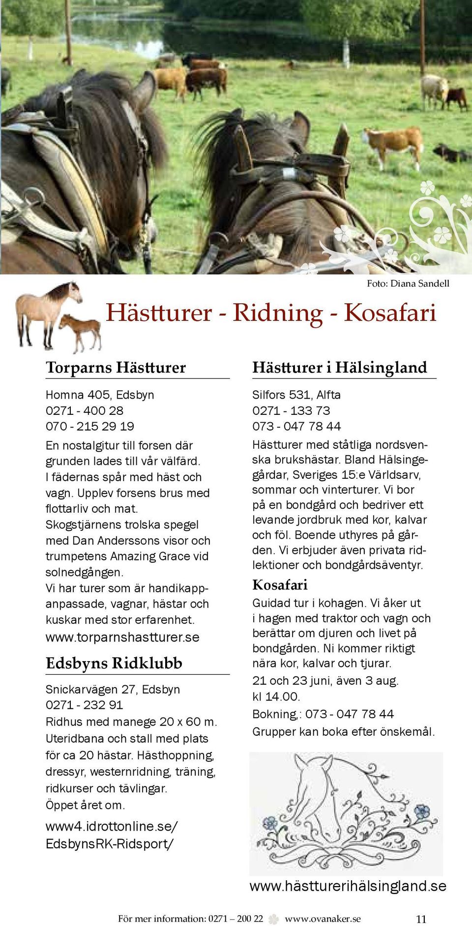 Vi har turer som är handikappanpassade, vagnar, hästar och kuskar med stor erfarenhet. www.torparnshastturer.se Edsbyns Ridklubb Snickarvägen 27, Edsbyn 0271-232 91 Ridhus med manege 20 x 60 m.