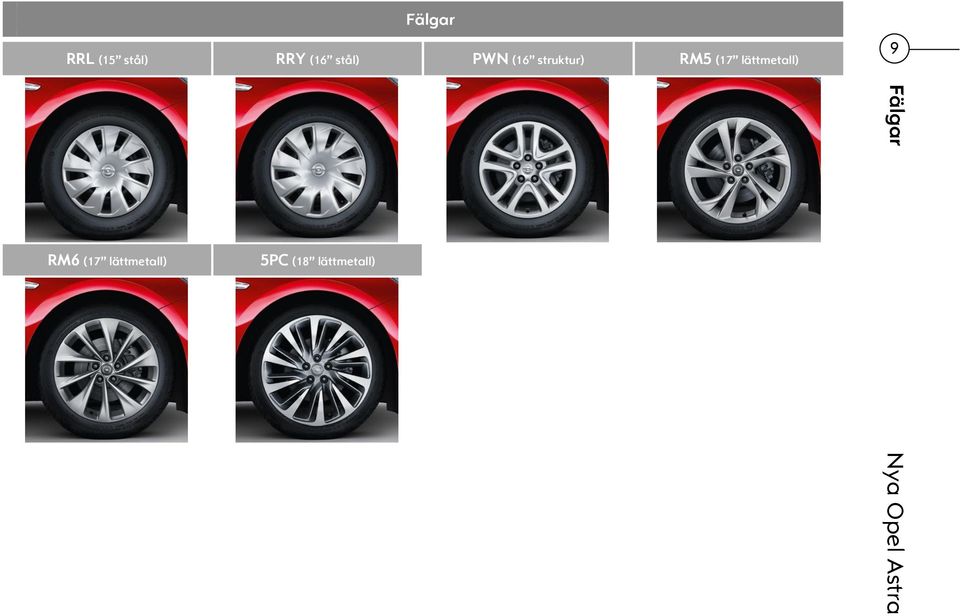 (17 lättmetall) 9 Fälgar RM6