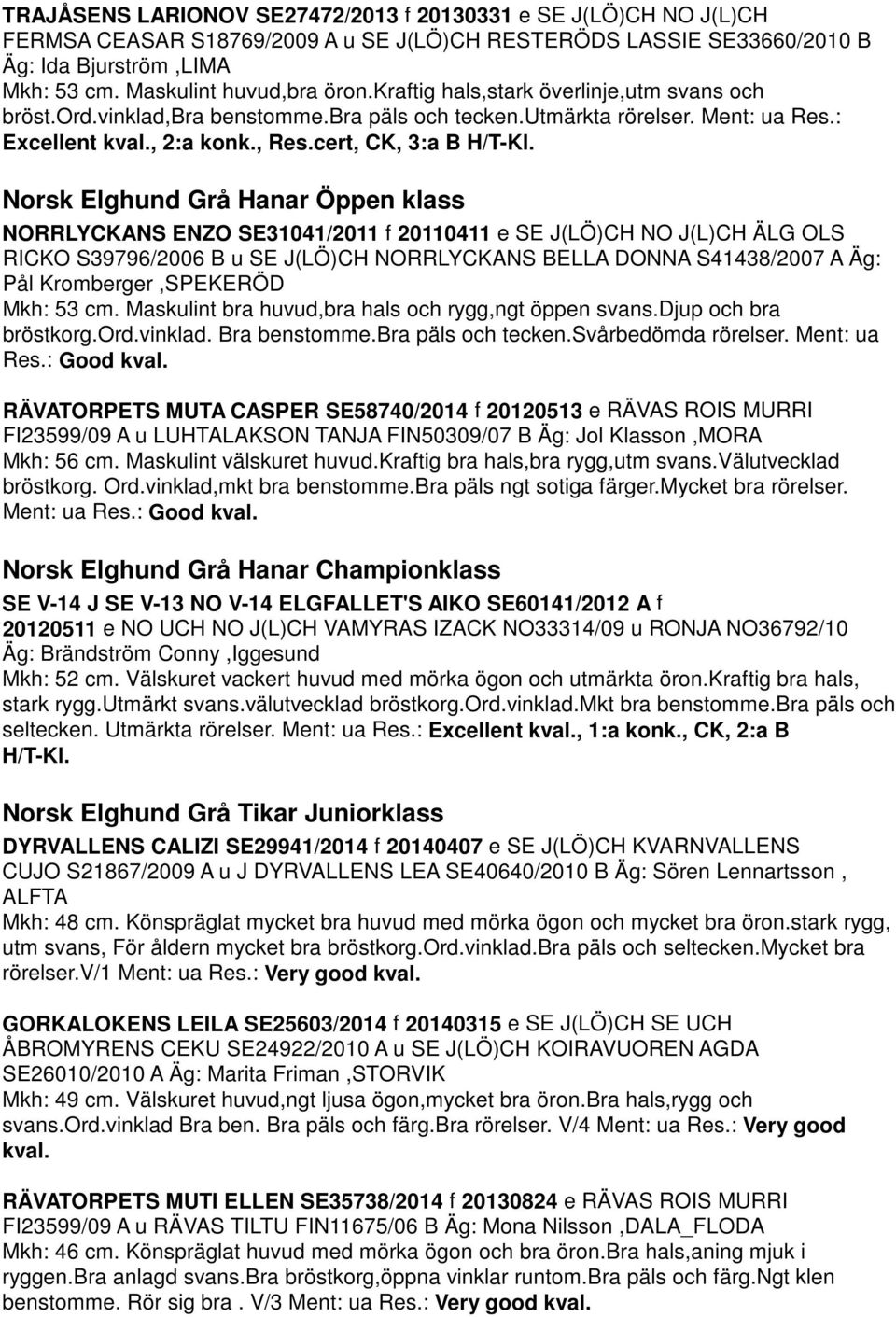 Norsk Elghund Grå Hanar Öppen klass NORRLYCKANS ENZO SE31041/2011 f 20110411 e SE J(LÖ)CH NO J(L)CH ÄLG OLS RICKO S39796/2006 B u SE J(LÖ)CH NORRLYCKANS BELLA DONNA S41438/2007 A Äg: Pål