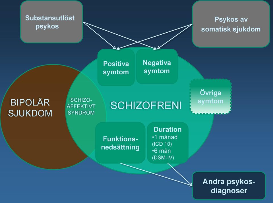 SYNDROM SCHIZOFRENI Övriga symtom Funktionsnedsättning