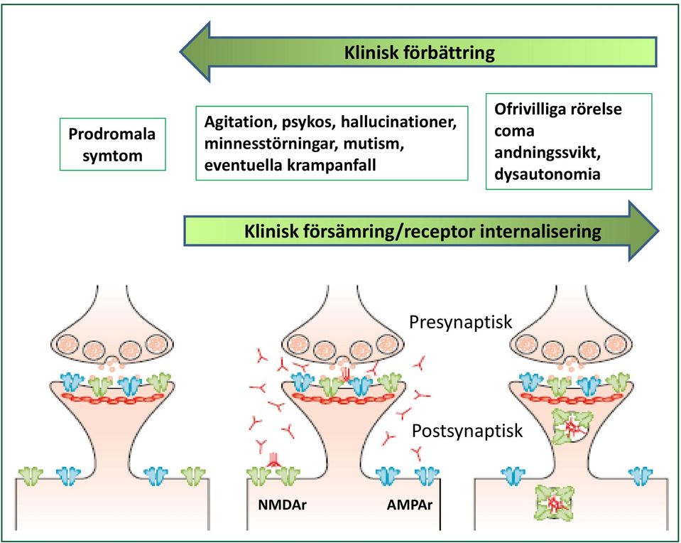 Andningssvikt, dysautonomia Ofrivilliga rörelse coma andningssvikt,