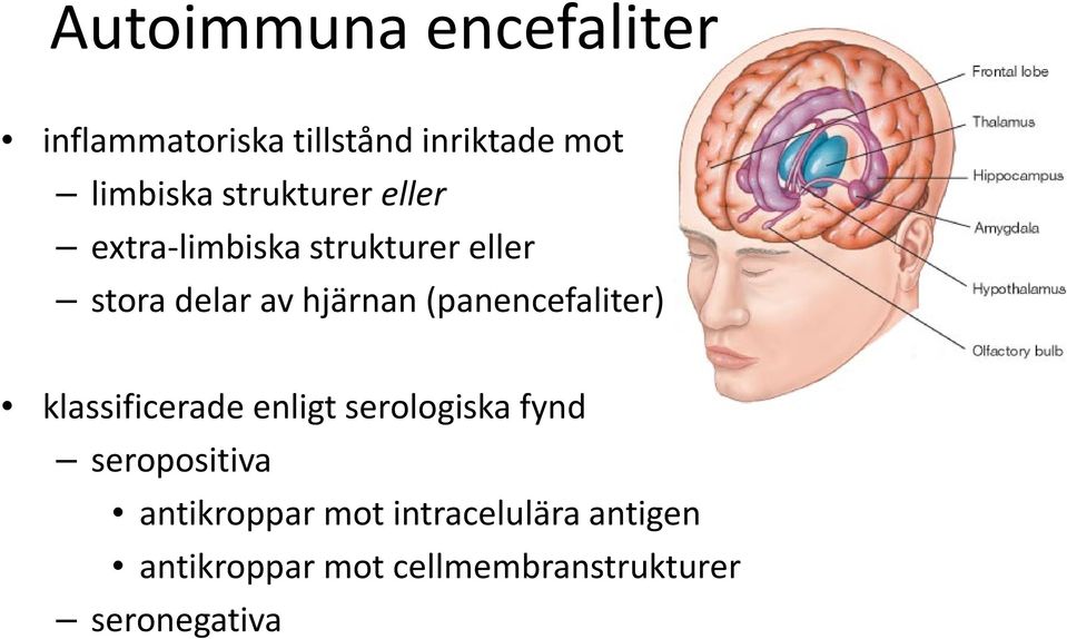 (panencefaliter) klassificerade enligt serologiska fynd seropositiva