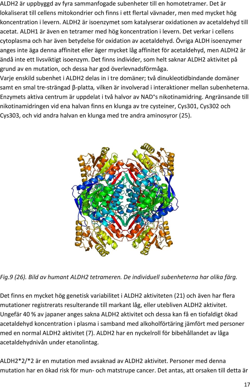 Det verkar i cellens cytoplasma och har även betydelse för oxidation av acetaldehyd.