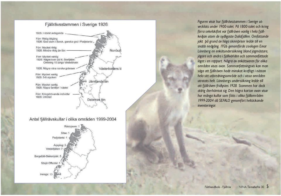 1926 genomförde zoologen Einar Lönnberg en enkätundersökning bland jägmästare, jägare och andra i fjällvärlden och sammanfattade läget i en rapport. Några av enkätsvaren för olika områden visas ovan.