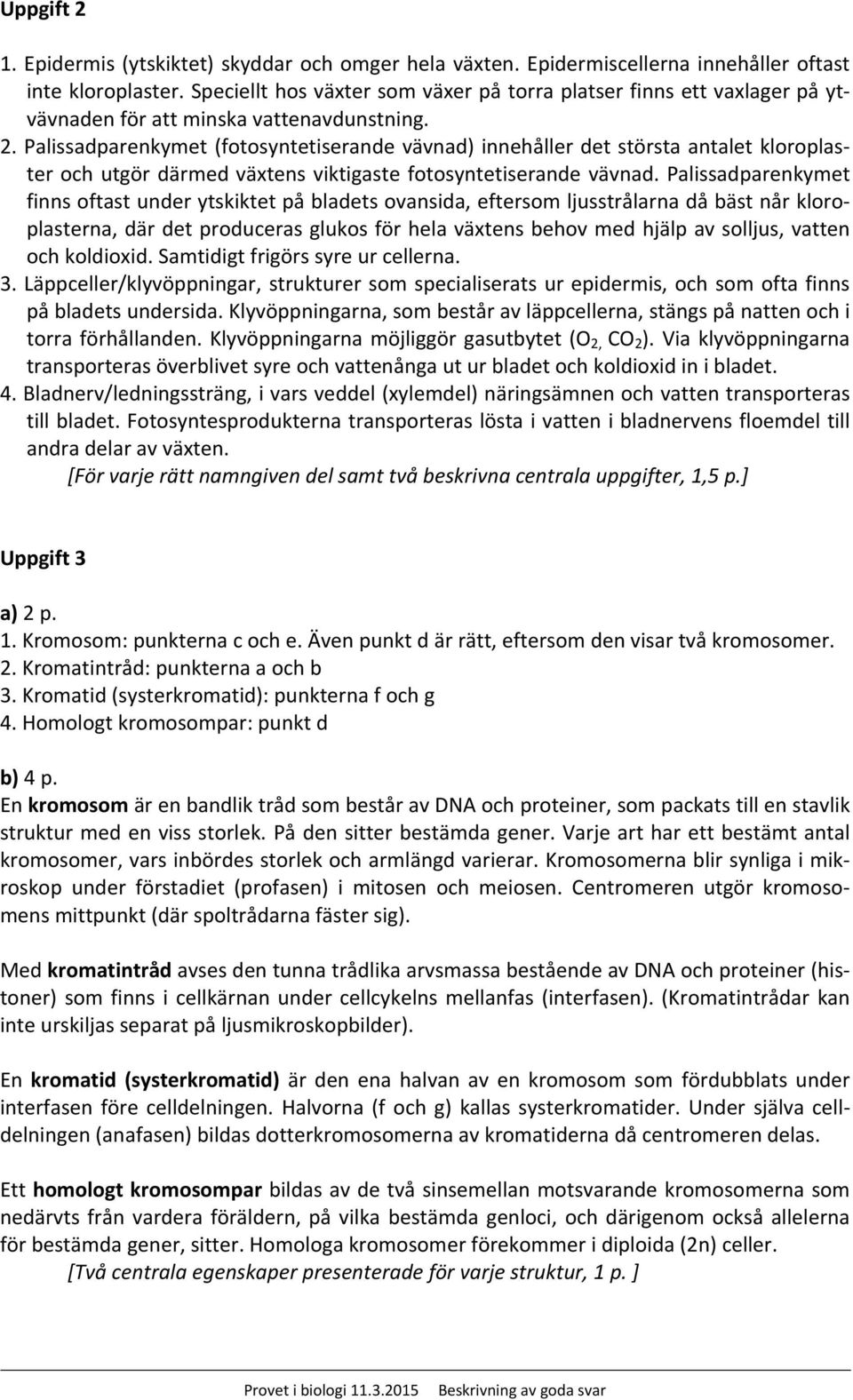 Palissadparenkymet (fotosyntetiserande vävnad) innehåller det största antalet kloroplaster och utgör därmed växtens viktigaste fotosyntetiserande vävnad.