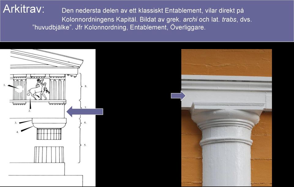 Kapitäl. Bildat av grek. archi och lat. trabs, dvs.