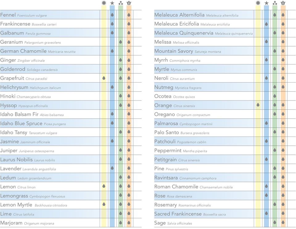 Tansy Tanacetum vulgare Jasmine Jasminum officinale Juniper Juniperus osteosperma Laurus Nobilis Laurus nobilis Lavender Lavandula angustifolia Ledum Ledum groenlandicum Lemon Citrus limon Lemongrass
